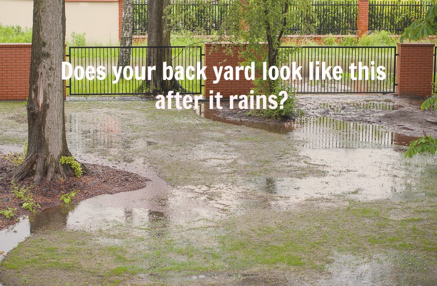 Home Maintenance Tip: Solve Poor Yard Drainage Issues ...