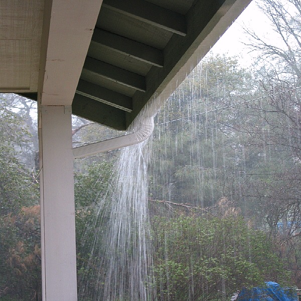 Home Maintenance Tip: Clean Your Gutters to Protect Your Foundation