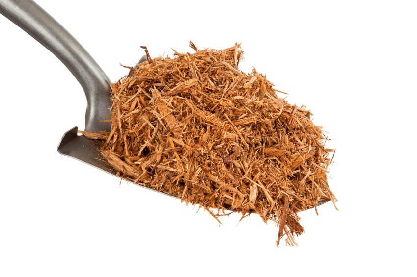 Home Maintenance Tip: Too Much Mulch Can Harm Your Foundation