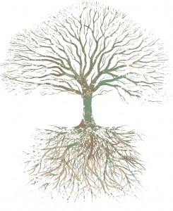 Tree and Roots Illustration