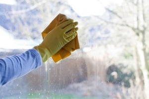 Home Maintenance Tip: Clean Your Exterior Window Glass