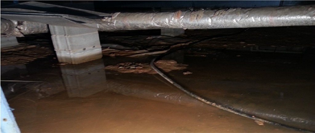 Crawl Space Water, Moisture And Environmental Management