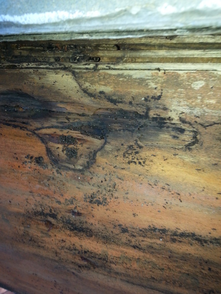 Crawl space Moisture Management