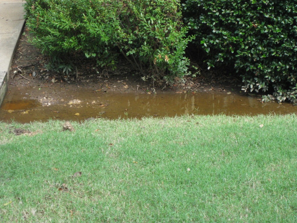 standing water in yard Atlantic Foundation & Repair Crawl Space