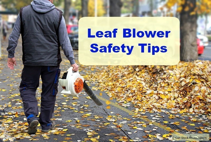 Gasoline Leaf Blower Safety and Maintenance Tips