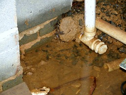 Standing water in a crawl space can damage the foundation and create excess humidity