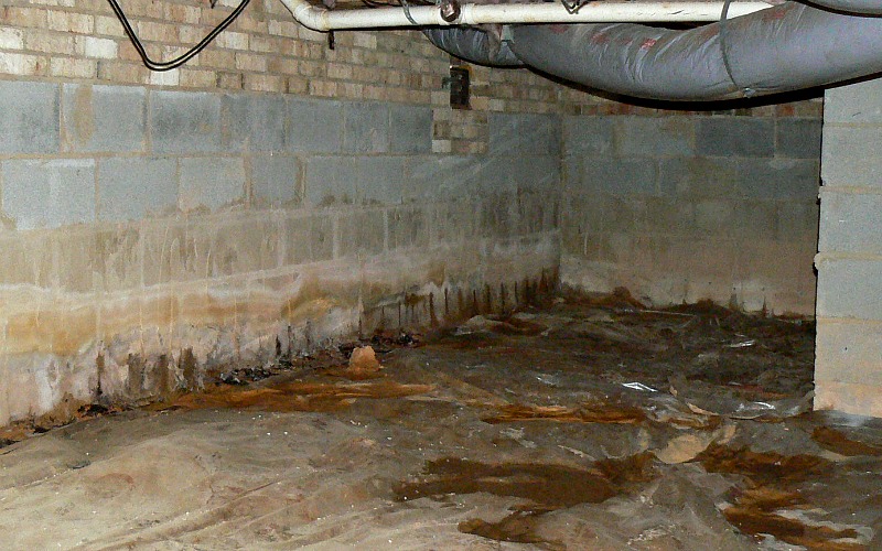 Excessive moisture in the crawl space on top of the vapor barrier