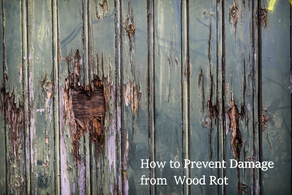 How to Prevent Damage from Wood Rot Atlantic Foundation & Crawl Space