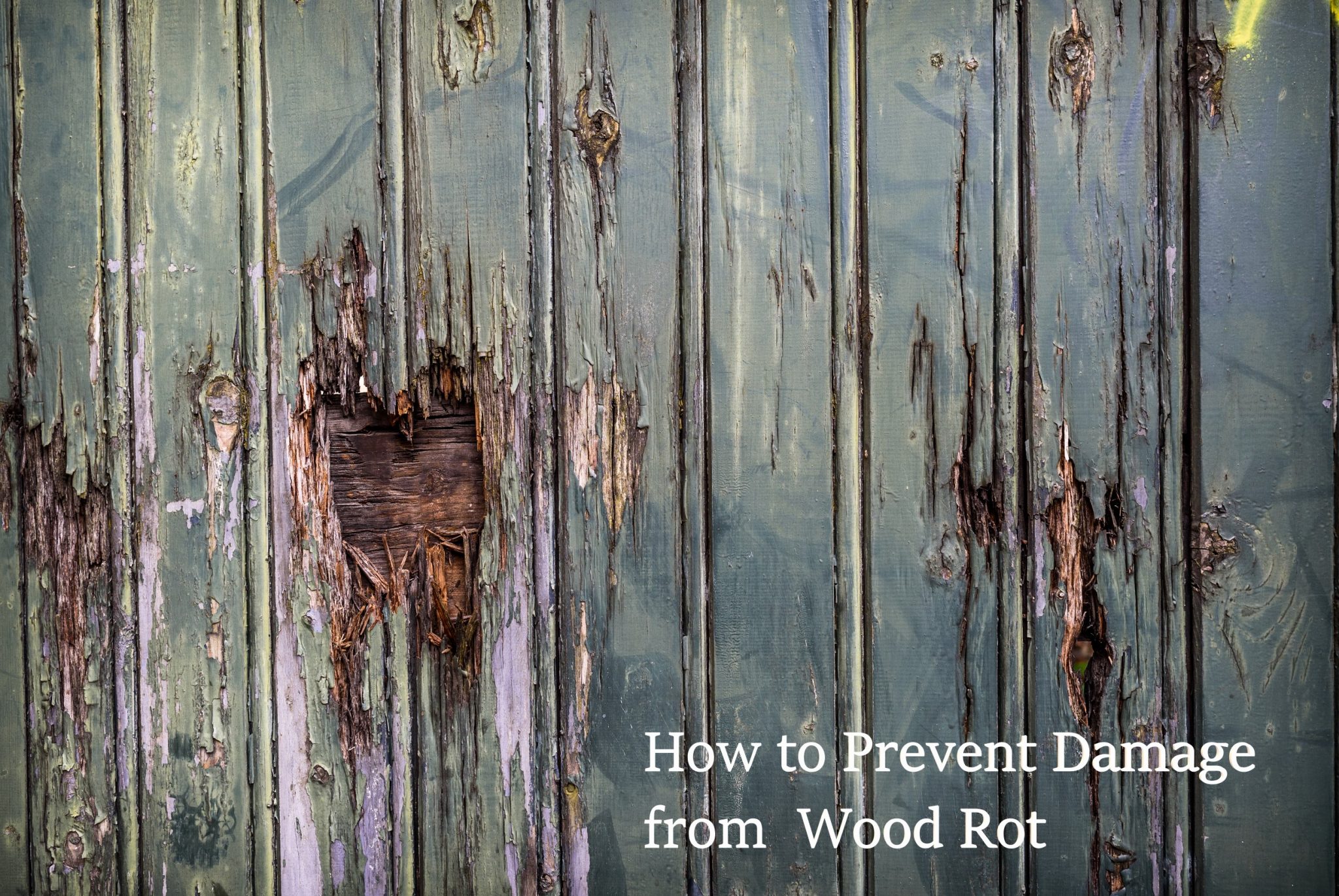 How to Prevent Damage from Wood Rot Atlantic Foundation & Crawl Space