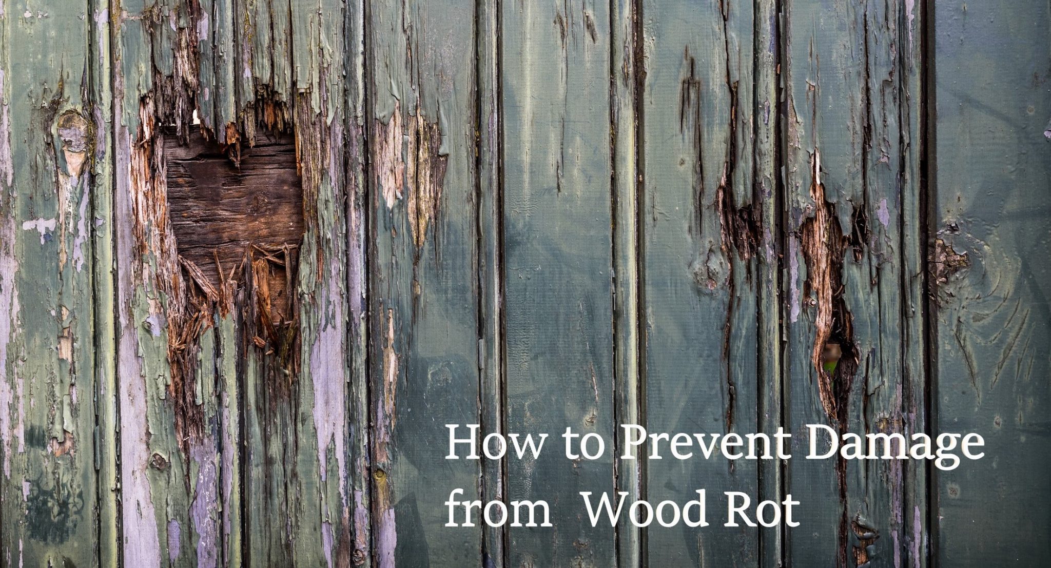 How to Prevent Damage from Wood Rot (2) Atlantic Foundation & Crawl