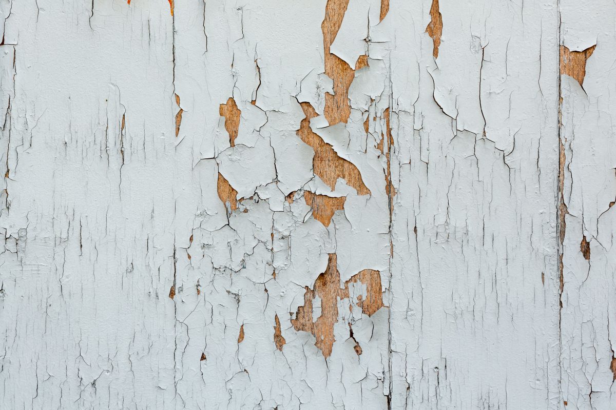 How to Prevent Damage from Wood Rot