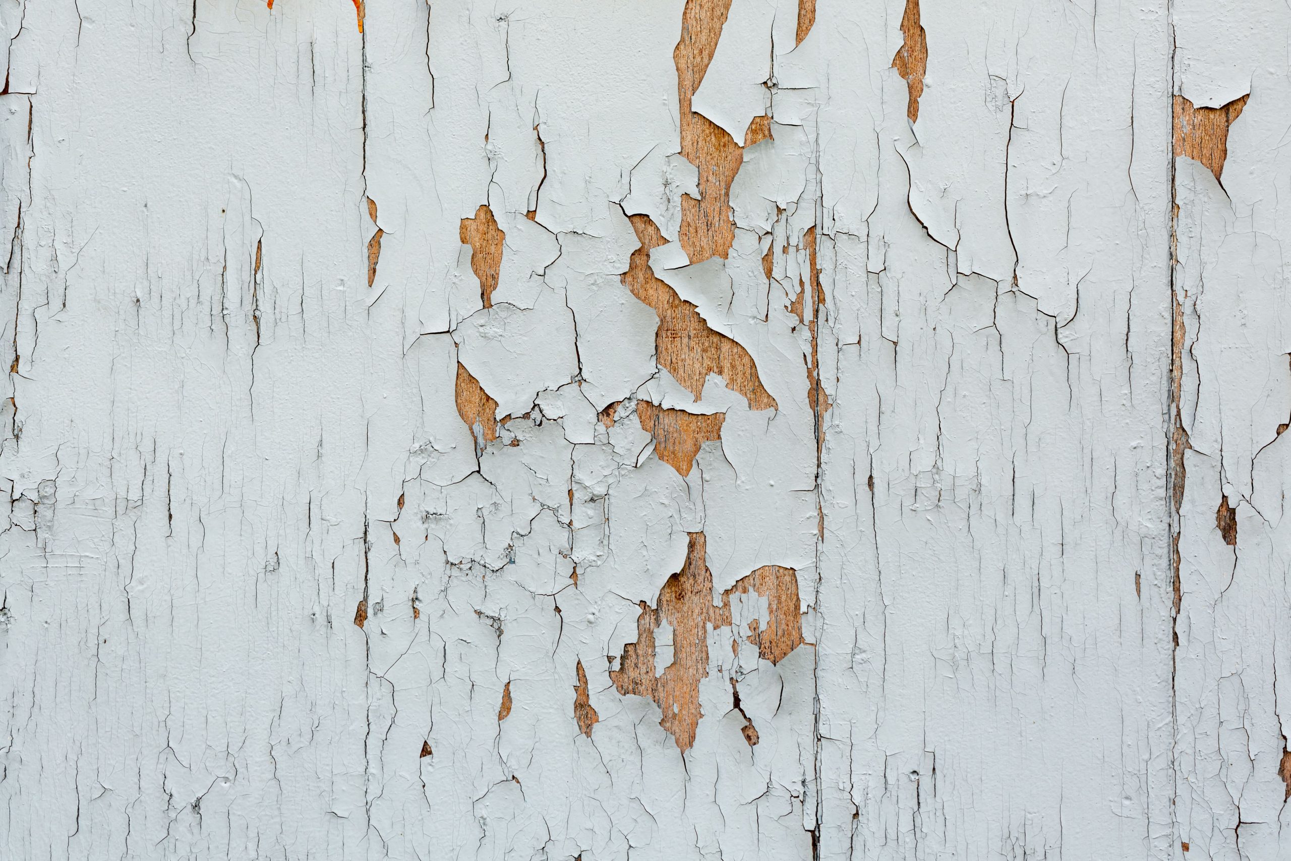 Prevent Damage from Wood Rot | Atlantic Foundation & Crawl Space Repair