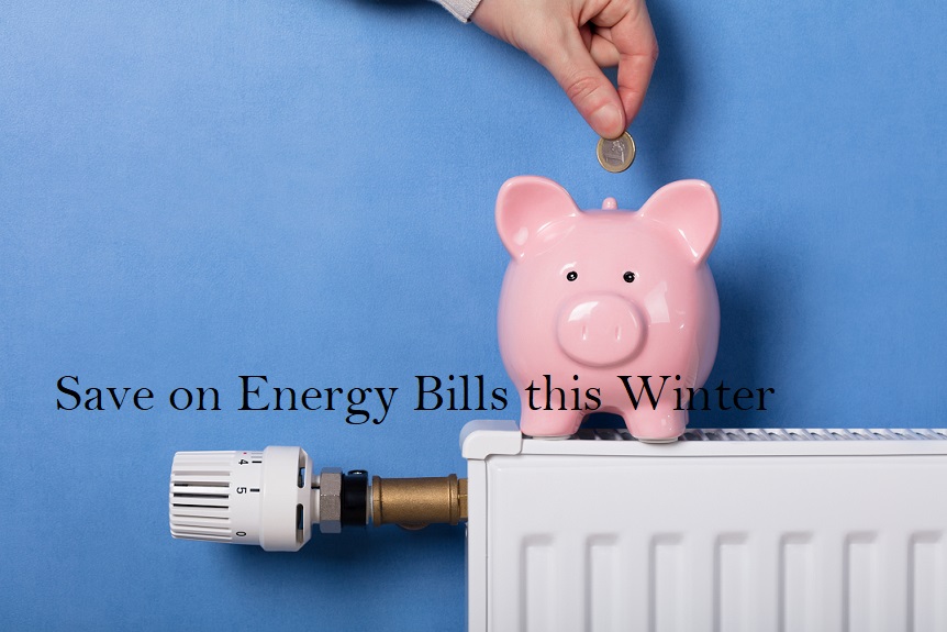 Energy Bills - Person Inserting Coin In Piggy Bank