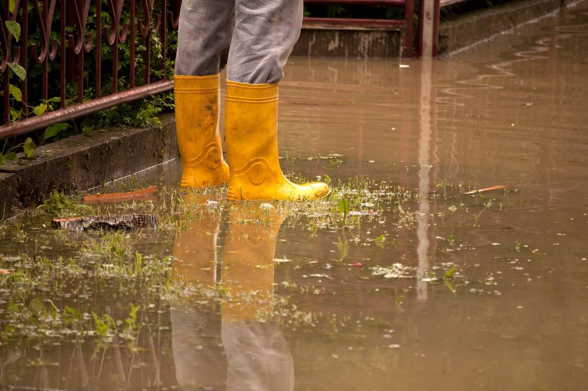 Prevent A Flooded Yard