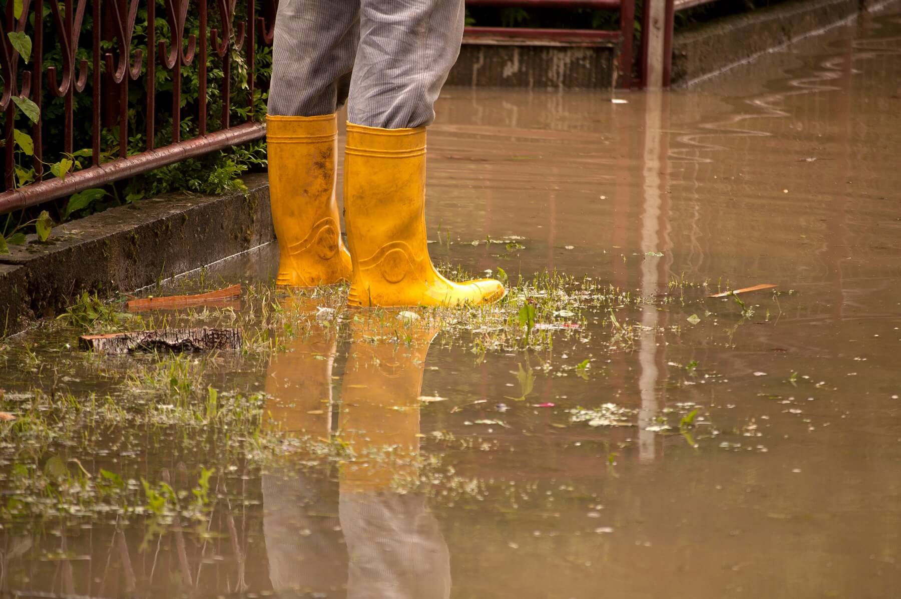 Flooded Yard - Man Standing In It