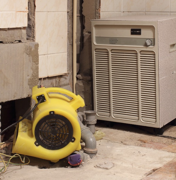 Crawl Space Dehumidifier – Does Your Home Need One?