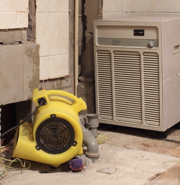 Crawl Space Dehumidifier