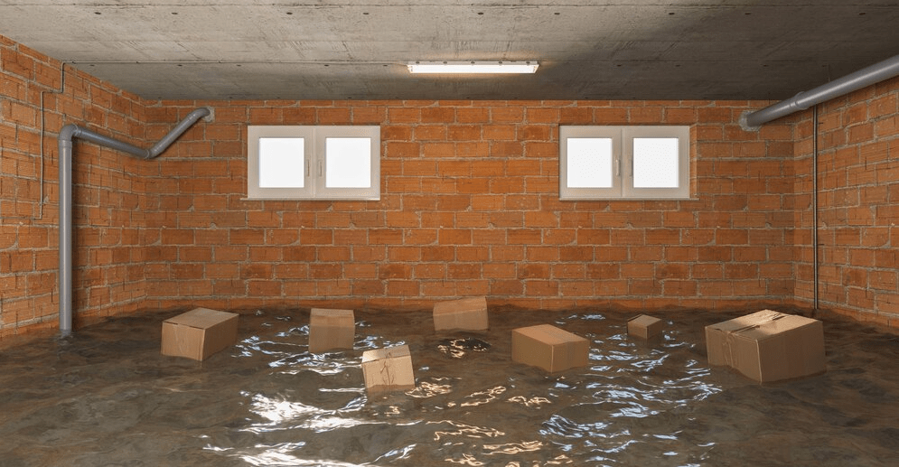 Is Your Home in Raleigh, NC, Crying Out for Crawl Space Encapsulation? Here's How to Tell!