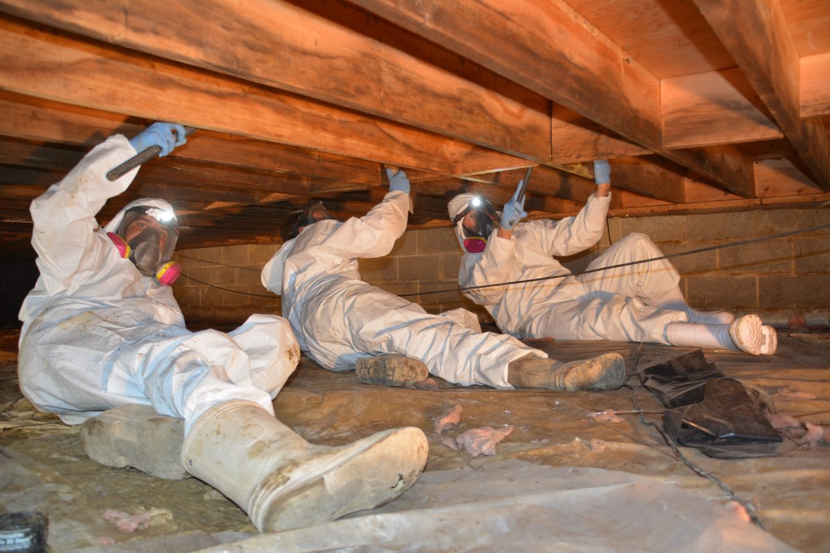 8 Signs You Need Crawl Space Repair: A Checklist For Homeowners